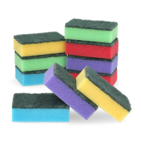 123schoon Schuurspons (10 stuks)