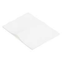 AEG-Electrolux/ Nilfisk 1000567 stofzuiger cubic motorfilter (123schoon huismerk)  SEL01007