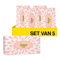 Aanbieding: 5x 123schoon Tissues 3-laags (80 vellen) SDR09097