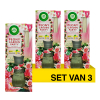 Aanbieding: Air Wick Geurstokjes Peony Garden Party (3 stuks à 42 ml) SAI01100 - 1