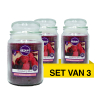 Aanbieding: Airpure Geurkaars Candle Jar Rasberry Bliss (3 stuks à 510 g)