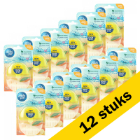 Aanbieding: Ambi Pur 5-in-1 Toiletblok Lemon & Mandarin (12 stuks) SAM00040