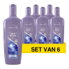 Aanbieding: 6x Andrélon classic anti-roos shampoo (300 ml)