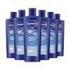 Aanbieding: Andrélon Classic Shampoo Hair & Body (6 stuks à 300 ml) SAN00598 - 2