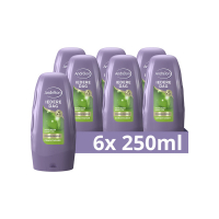 Andrelon Aanbieding: Andrélon Conditioner Iedere Dag (6x 250 ml)  SAN00386