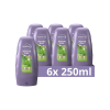 Aanbieding: Andrélon Conditioner Iedere Dag (6x 250 ml)