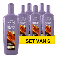 Andrelon Aanbieding: Andrélon Keratine repair shampoo (6x 300 ml)  SAN00339