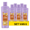 Aanbieding: Andrélon Oil & Care Shampoo (6 stuks à 250 ml) SSA06101 - 1