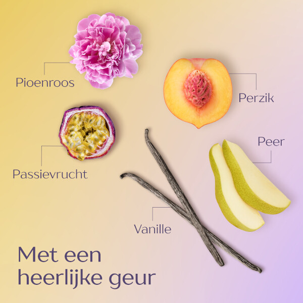 Aanbieding: Andrélon Perfecte Krul Shampoo (6 stuks à 300 ml) SAN00606 - 7