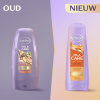 Aanbieding: Andrélon Special Oil & Care Conditioner (6 stuks à 200 ml) SAN00532 Aanbieding: Andrélon Special Oil & Care Conditioner (6 stuks à 200 ml) SAN00532 - 4