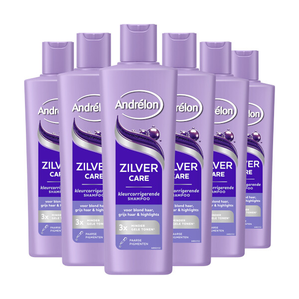 Aanbieding: Andrélon Zilver Care Shampoo (6 stuks à 300 ml) SAN00608 - 2