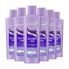 Aanbieding: Andrélon Zilver Care Shampoo (6 stuks à 300 ml) SAN00608 - 2