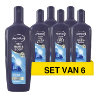 6 flessen van 300 ml