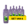 Aanbieding: Andrélon shampoo Iedere Dag (6x 300 ml)