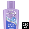 Andrélon Anti-Roos Shampoo (250 ml) SAN00595 - 3