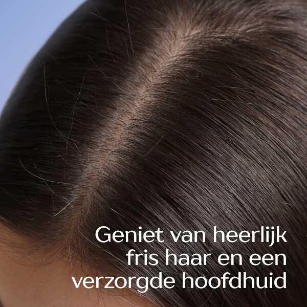 Andrélon Anti-Roos Shampoo (300 ml) SAN00595 - 5