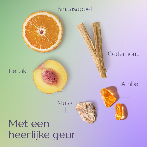 Andrélon Iedere Dag Shampoo (400 ml) SAN00627 - 5