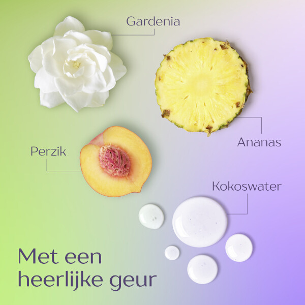 Andrélon Langer Fris Shampoo (400 ml) SAN00631 - 4