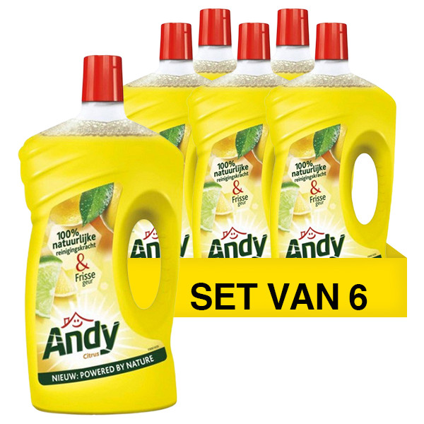 Andy Aanbieding: 6x Andy allesreiniger citrus (1 liter)  SAN00309 - 1