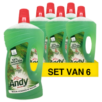 Andy Aanbieding: 6x Andy allesreiniger dennen (1 liter)  SAN00310