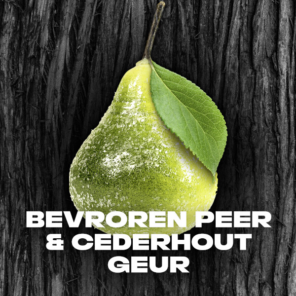 Aanbieding: Axe Black XL Deodorant Bodyspray (6 stuk à 200 ml) SAX00283 Aanbieding: Axe Black XL Deodorant Bodyspray (6 stuk à 200 ml) SAX00283 - 4