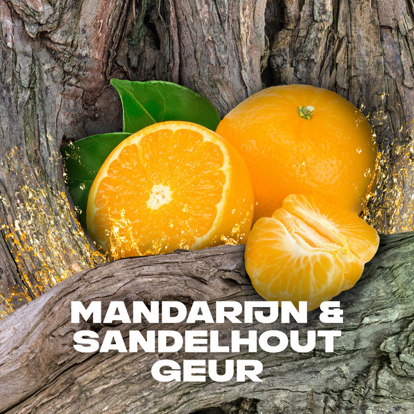 Axe Africa  deodorant - body spray (200 ml) SAX00192 - 6