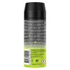 Axe Epic Fresh  deodorant - body spray (150 ml)  SAX00178 - 3
