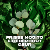 Axe Green Mojito & Cedarwood  douchegel (250 ml)  SAX00208 - 6