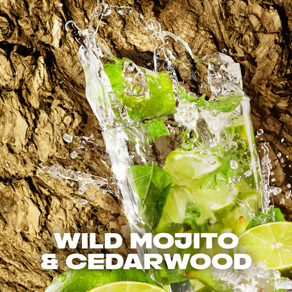 Axe Mojito & Cedarwood  deodorant - body spray (150 ml)  SAX00186 - 6