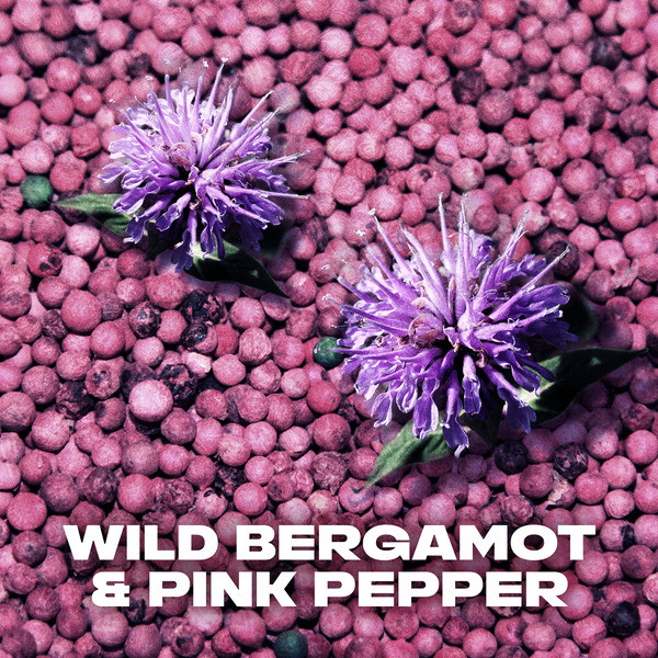 Axe Wild Fresh Bergamot & Pink Pepper  douchegel (250 ml)  SAX00206 - 7