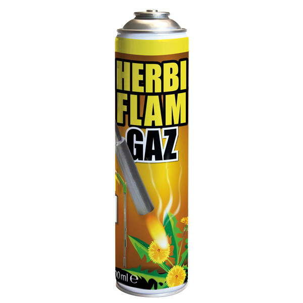 BSI Gasfles voor onkruidbrander (600 ml)  SBI00071 - 1