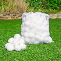 Bestway Flowclear Zwembad Filter Bolletjes (12 stuks) SBE02009