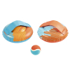Bestway Vang- en gooiset opblaasbaar (Bestway)  SBE00094 - 1