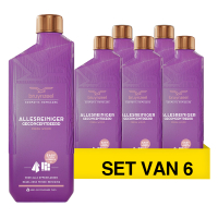 Aanbieding: Bruynzeel Allesreiniger Fresh Wood (6 stuks à 1 L)