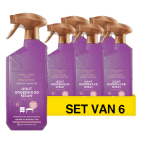 Aanbieding: Bruynzeel Hout Onderhoud Spray Fresh Wood (6 stuks à 500 ml)
