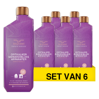 Aanbieding: Bruynzeel Ontkalker Huishoudelijke Apparaten met Power formule Citroenzuur (6 stuks à 1 L)