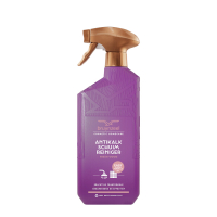Bruynzeel Antikalk Schuimreiniger Fresh Wood (500 ml) SBR00180