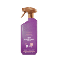 Bruynzeel Hout Onderhoud Spray Fresh Wood (500 ml) SBR00182