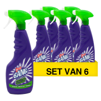 6 flessen - 440 ml