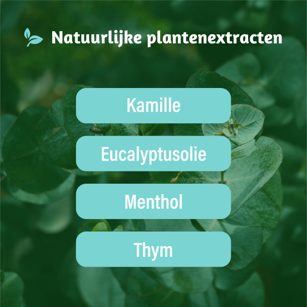 Dampo Adem Vrij Pastilles (24 stuks) SDA00073 - 4