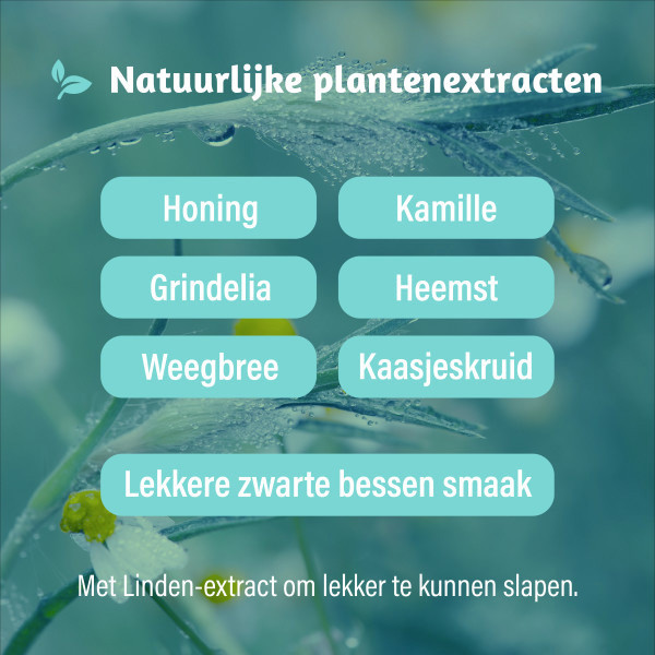 Dampo Kids Alle Hoest Nacht Siroop (100 ml) SDA00069 - 4