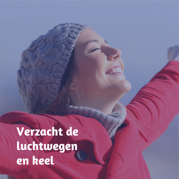 Dampo Luchtwegen Pastilles (24 stuks) SDA00072 - 2