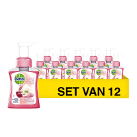 Dettol Aanbieding: 12x Dettol handzeep Rose & Cherry (250 ml)  SDE01029