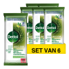 Aanbieding: 6x Dettol Reinigingsdoekjes Bio Afbreekbaar Tru Clean Eucalyptus & Lime (48 doekjes) SDE01086 - 1