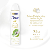 Dove Deodorant Matcha & Sakura (150 ml)  SDO00450 - 4