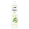 Dove Deodorant Matcha & Sakura (150 ml)  SDO00450 - 1