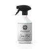 Evie Blue sprayfles interieur parfum Ocean Mint inclusief vulling (500 ml)  SEV00019