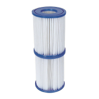 Flowclear cartridge filter voor Bestway | Type II | 2 stuks  SBE00029