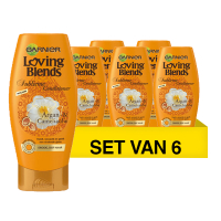 Garnier Aanbieding: 6x Garnier Loving Blends Argan- & Cameliaolie conditioner (250 ml)  SGA02007