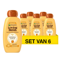 6 flessen van 300 ml